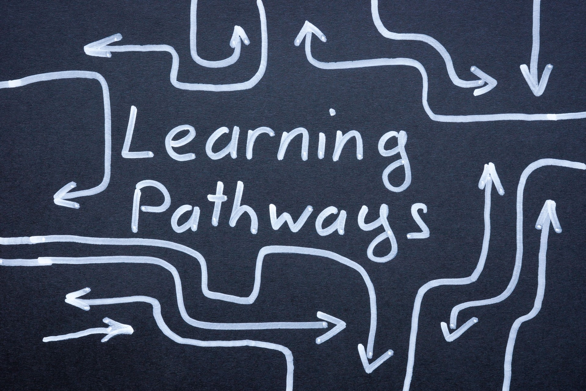 Drawn arrows and the words learning pathways. Educational development and career planning.